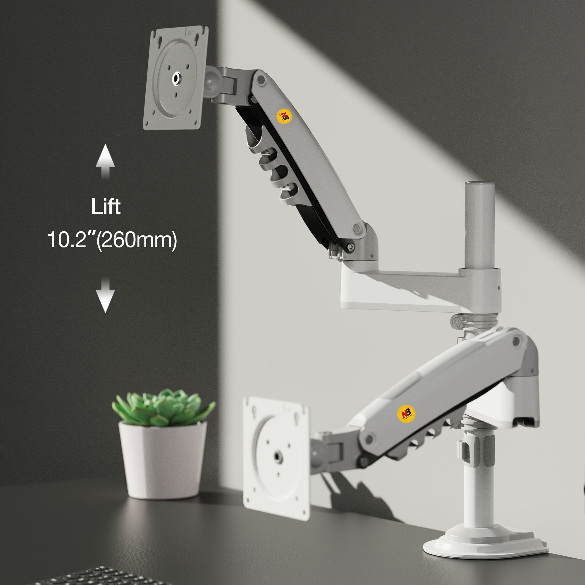 Dual Monitor Arm Ergonomic for Desktops VESA Mount NB-H180